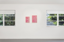 Installation view of Maynard Monrow &quot;Under the Influence&quot;