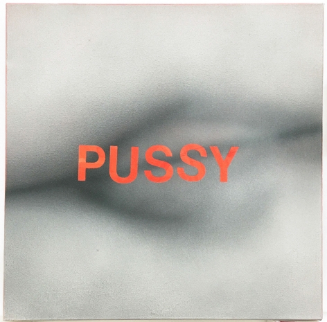 Betty Tompkins Pussy #5, 2016