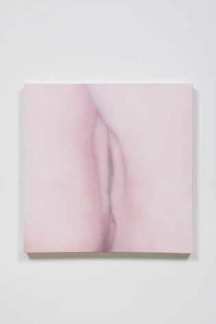 Betty Tompkins, Cunt Painting #23, 2015