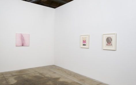 Installation view of Betty Tompkins&nbsp;Sex Works / WOMEN Words, Phrases and Stories